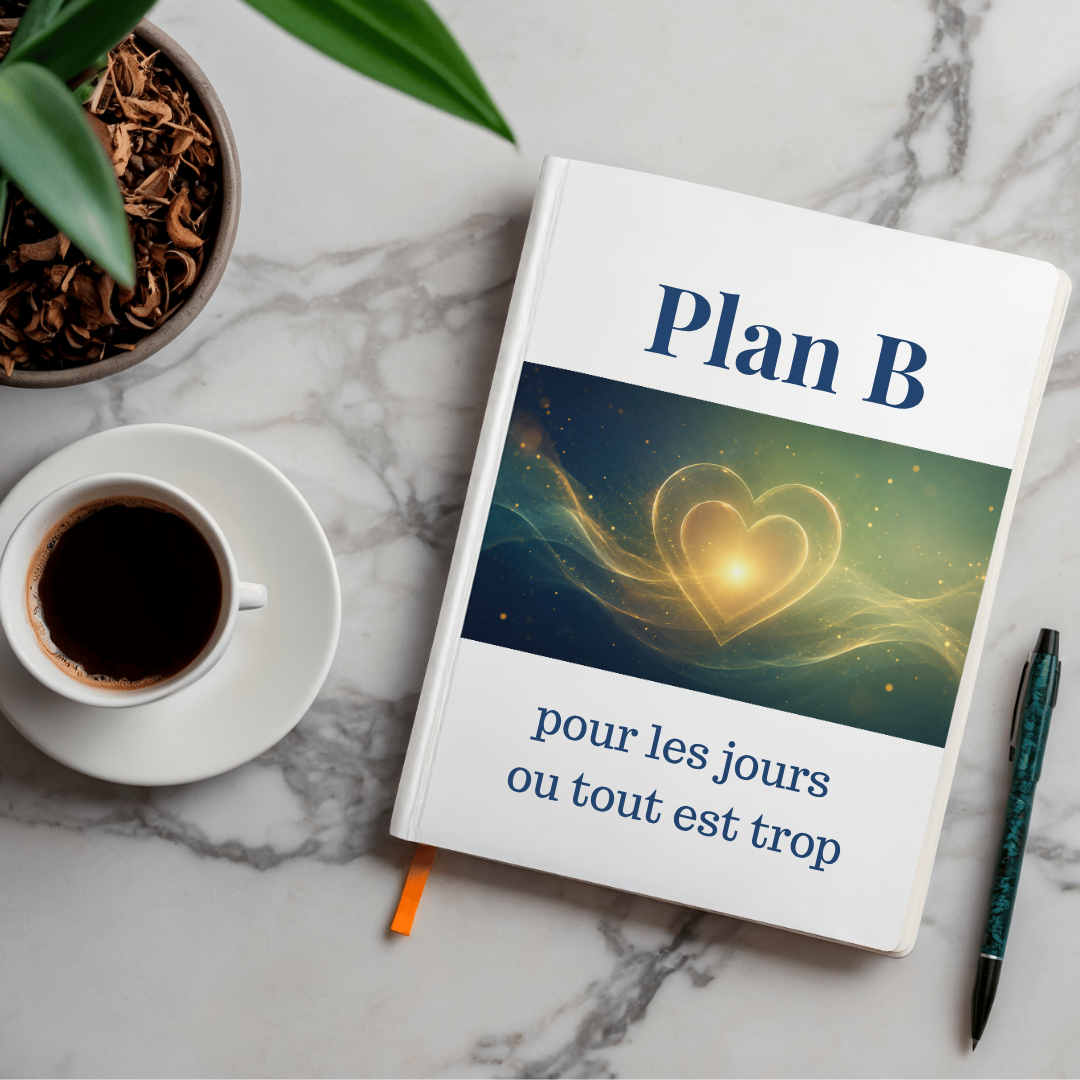 Plan B gratuit - Didhem Academie